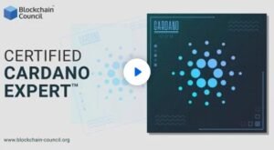 Certified Cardano Expert